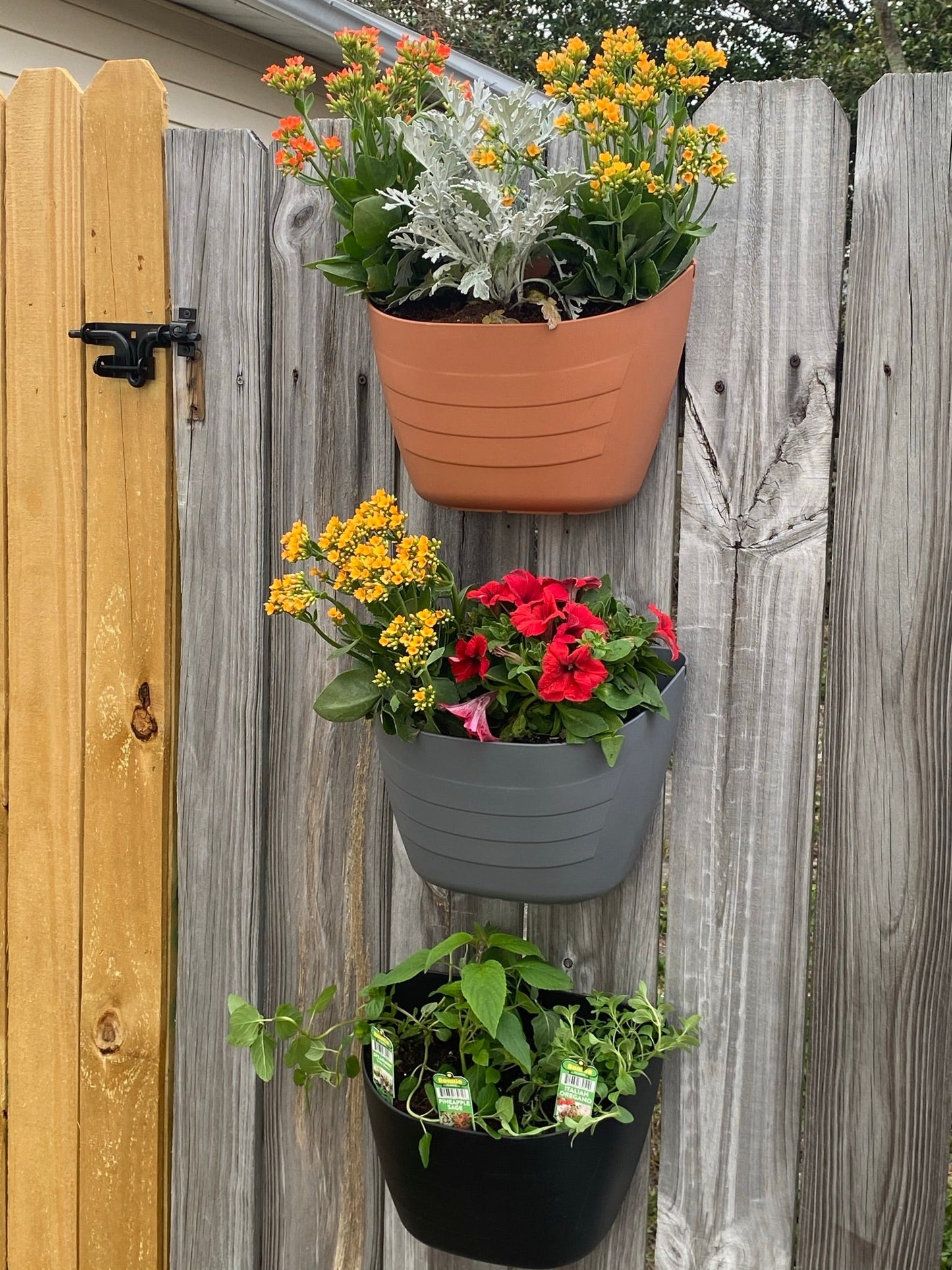 Wall Planters