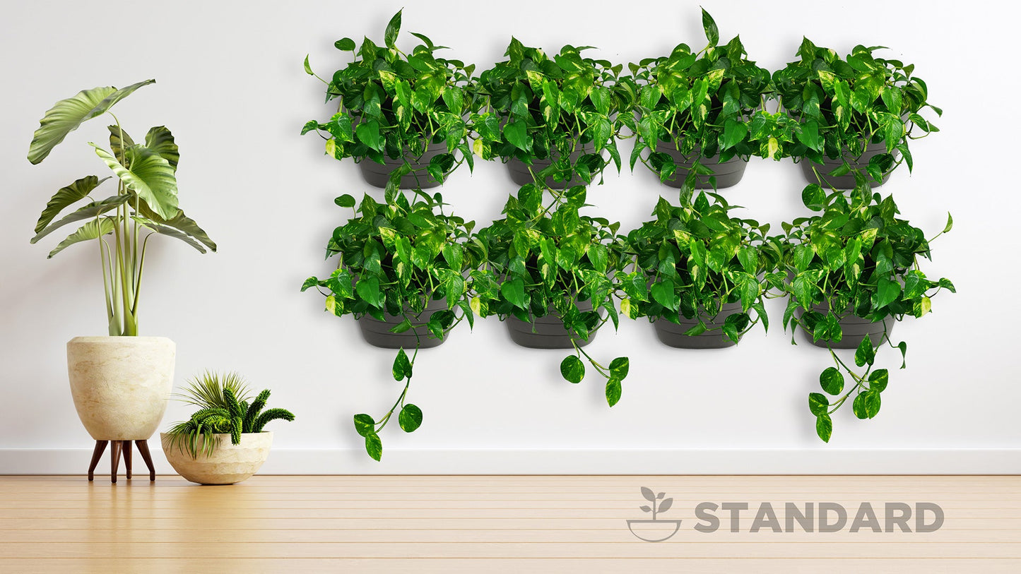 Wall Planters